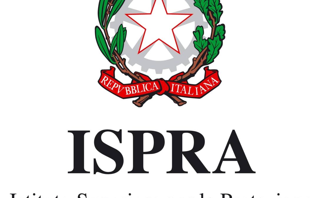 ISPRA. Uscito il “Rapporto Rifiuti urbani”. Ecco quello che è emerso.